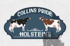 Collins-Pride-Holsteins
