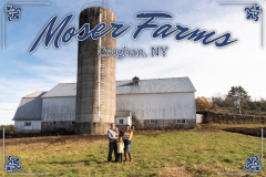 Custom Design on sign - Moser Farms