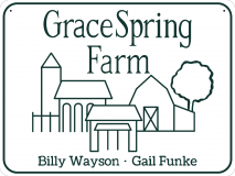 Recreation by GCD - Grace Spring