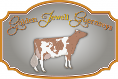 Custom Design on sign - Golden Jewell