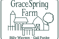 Recreation by GCD - Grace Spring