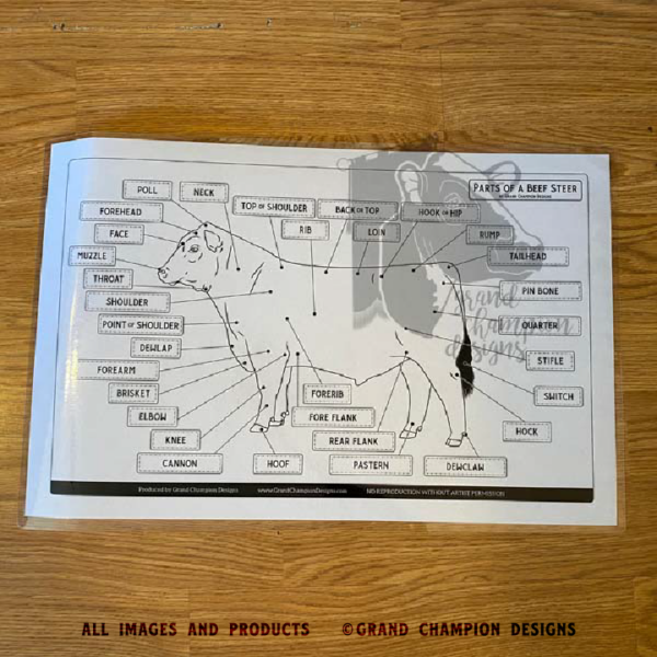 Laminated Livestock Parts Identification Guides - Image 2