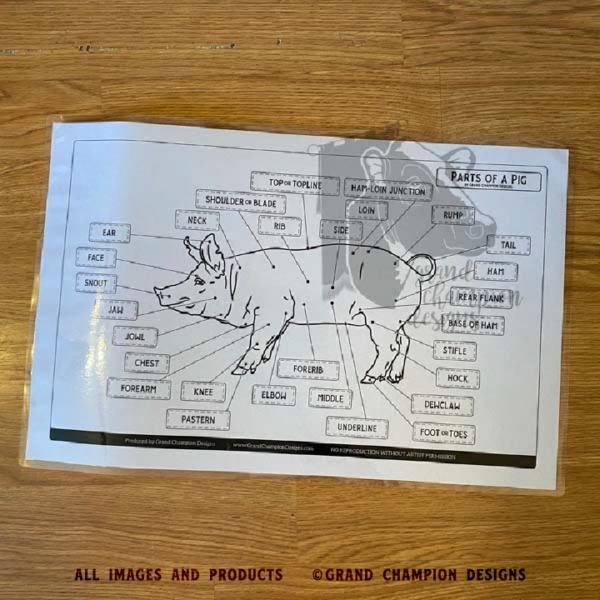 Laminated Livestock Parts Identification Guides - Image 3