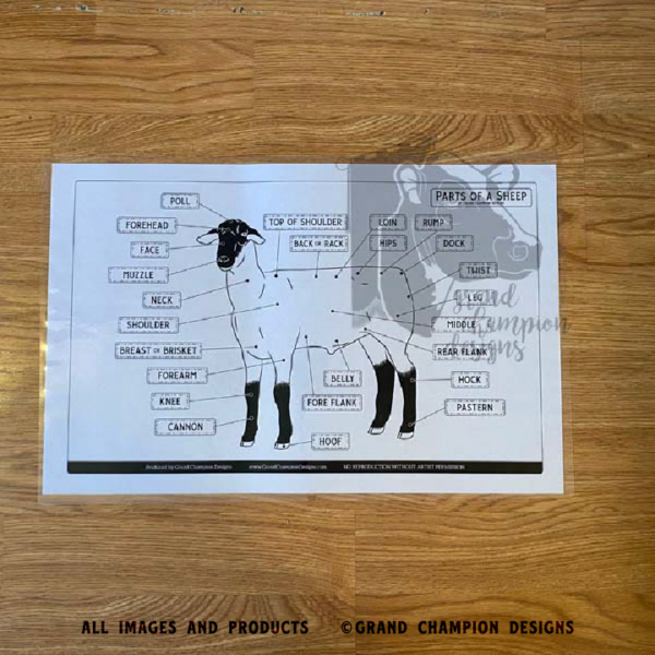 Laminated Livestock Parts Identification Guides - Image 5