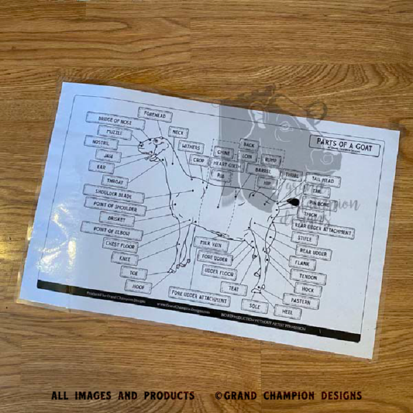 Laminated Livestock Parts Identification Guides - Image 6