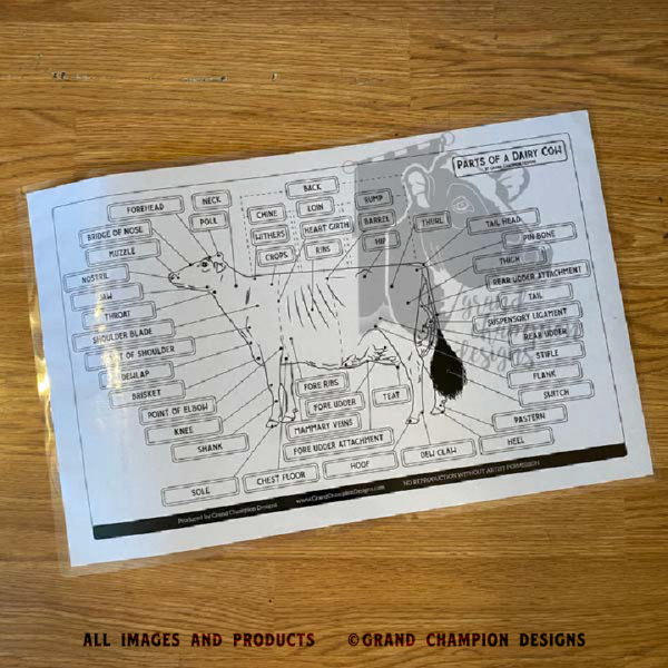 Laminated Livestock Parts Identification Guides