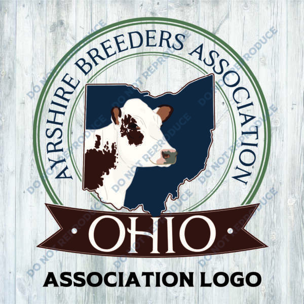 Ohio Ayrshire Breeders Apparel - Youth Sizes - Image 8